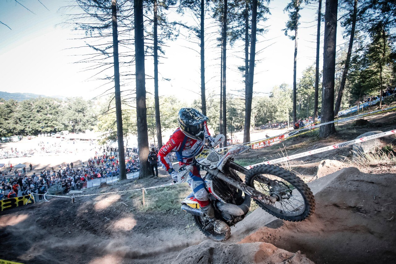 Steve Holcombe: ME LI BEVO TUTTI!